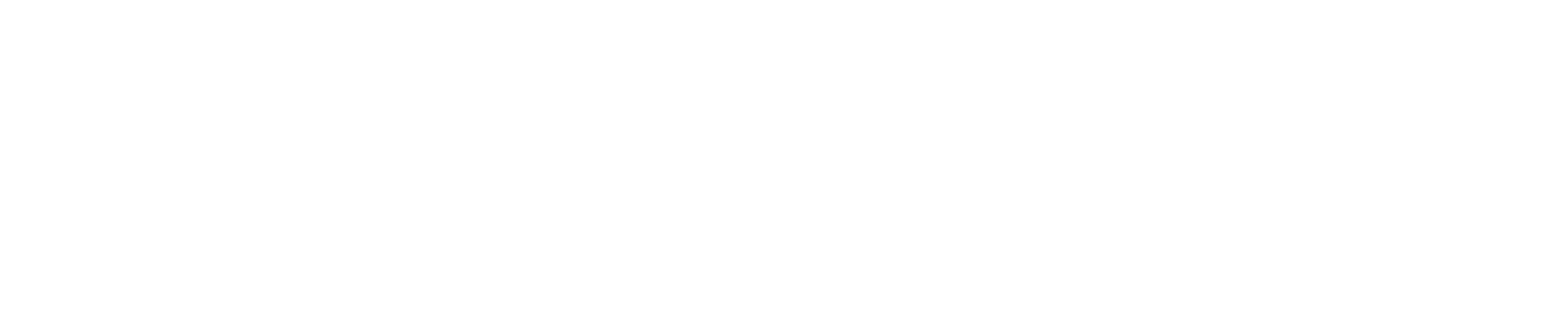 VICEclub